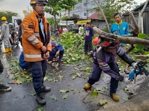 BPBD Kota Banjarmasin Terima 28 Laporan Kerusakan Akibat Hujan Deras dan Angin Kencang