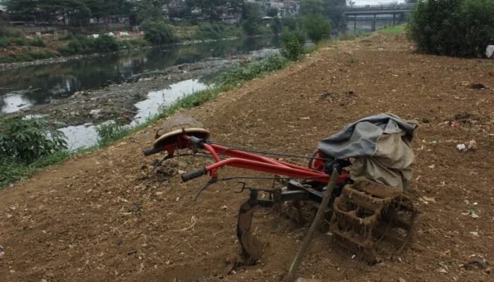 Suhu Bumi Makin Panas, Kepala BMKG Sarankan Ini Segera Dilakukan