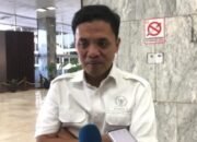 Wakil Ketua Umum Gerindra Sebut Jagoan Muncul Belakangan