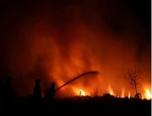 IMG 20231021 WA0013 e1697878232303