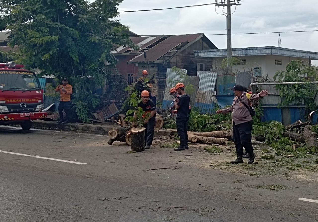 Pohon Tumbang di Jalan PHM Noor Sempat Buat Macet 1 6 Pohon Tumbang 2klm