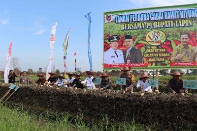 Hal 12 Tapin 35 klm 14