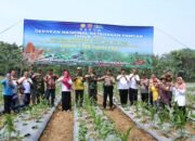 Ciptakan Ketahanan PanganDKPPTPH Tabalong Kembangkan 10 Kampung Hortikultura