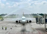 Maskapai Baru di Bandara Syamsudin Noor, Pelita Air Layani Rute Jakarta - Banjarmasin 10 Maskapai Baru di Bandara Syamsudin Noor, Pelita Air Layani Rute Jakarta – Banjarmasin
