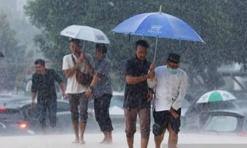 IMG 20231119 WA0012 e1700361528219