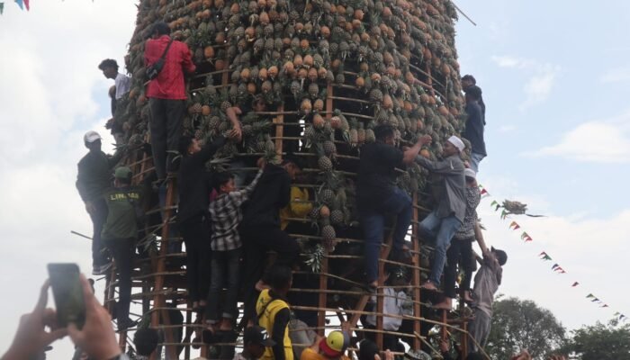 Pj Bupati Mujiyat Sebut Pesta Nanas Menjadi “Local Genius” Mekarsari, Karya Anak Bangsa