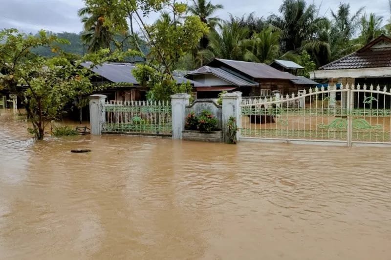 Tiga Kabupaten di Kalsel Ini Waspadai Banjir Rob 1 IMG 20231126 WA0028