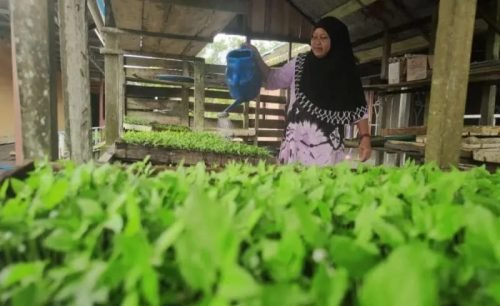 IMG 20231127 WA0025 e1701078922844