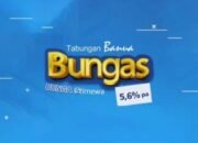 Banua Bungas Tabungan Bank Kalsel Dengan Bunga Istimewa 5,6 Persen