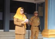 Skors Indeks Inovasi Daerah Banjar Alami Kenaikan
