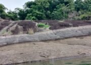 Danau Riam Kanan Bagian Taman Hutan Raya Sultan Adam di Desa Aranio 18 Danau Riam Kanan Bagian Taman Hutan Raya Sultan Adam di Desa Aranio