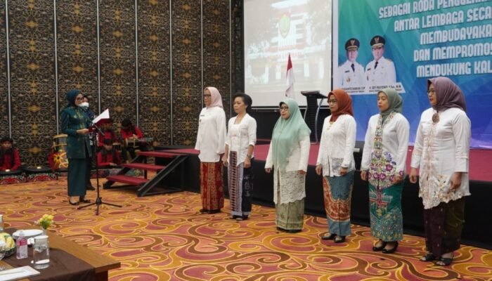 Ivo Sugianto Sebut Peran Bunda Literasi Sangat Penting Bantu Galakkan Promosi Gemar Membaca