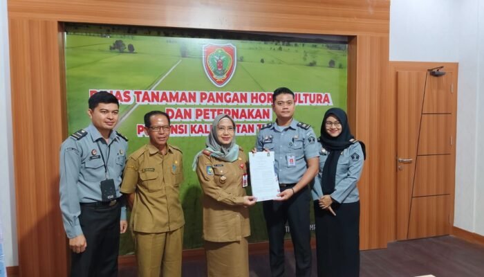 Baru Varietas Siam Epang Asal Kotim Terdaftar di HKI