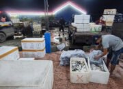 Kapal Nelayan Masuk Pelabuhan Perikanan Banjarmasin Berkurang 24 Kapal Nelayan Masuk Pelabuhan Perikanan Banjarmasin Berkurang