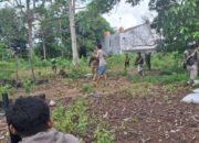 Teror Monyet di Mentos Banjarbaru, Lima Orang Alami Luka-luka 20 Teror Monyet di Mentos Banjarbaru, Lima Orang Alami Luka-luka