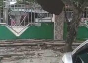 Damkar HSU 'Usir' Kawanan Lebah di Pohon Depan Masjid 22 Damkar HSU ‘Usir’ Kawanan Lebah di Pohon Depan Masjid