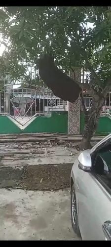 IMG 20240118 WA0037 e1705585361463