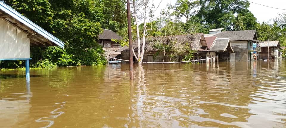 Aktivitas Masyarakat Malawaken Barito Utara Lumpuh Akibat Banjir 1 IMG 20240120 WA0012