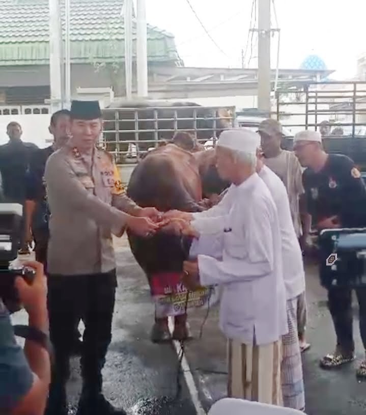 WhatsApp Image 2024 01 11 at 21.50.38