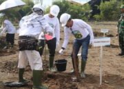 Tanaman Kaliandra Penghasil Energi dan Mudah Tumbuh 14 Tanaman Kaliandra Penghasil Energi dan Mudah Tumbuh