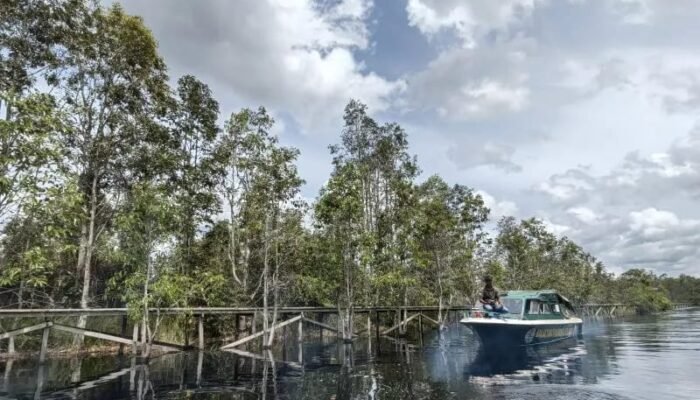 Sebanyak 1 Juta Hektare Lahan Gambut di Kalteng Berpotensi Direstorasi BRIN