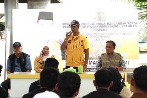 Paman Yani Dorong Pemerintah Kabupaten dan Kota Masifkan Pembangunan