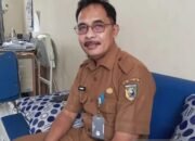 Di Bulan Januari, Dua Warga Tanah Laut Meninggal Akibat DBD