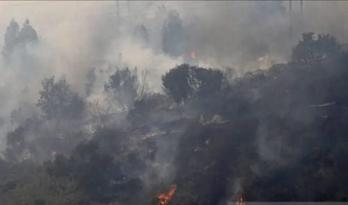 IMG 20240207 WA0036 e1707311036795