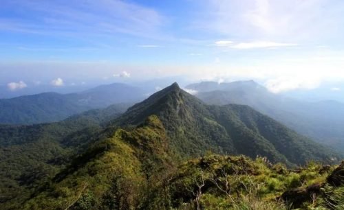 IMG 20240224 WA0038 e1708781761905