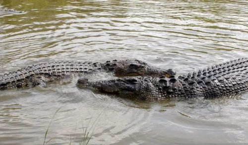 IMG 20240228 WA0034 e1709113930554