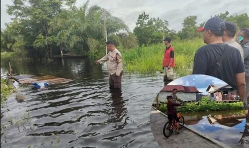 IMG 20240309 WA0024 e1709978051982