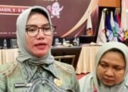 Ini Nama-nama Wakil Kalsel yang Melenggang ke Senayan dan DPD RI