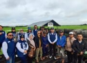 Ekspedisi Indikasi Geografis : Potret Langsung Kerbau Rawa Amuntai Ditinjau oleh Kemenkumham Kalsel dan Pemkab HSU