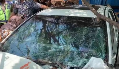 IMG 20240323 WA0034 e1711204255186