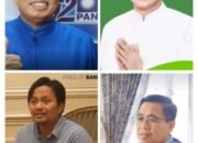 Ini Sosok Hasil Survei LSPP Berpeluang Jadi Gubernur Kalsel 2024-2029