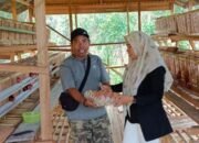 Warga Desa Belawang Ingin Kembangkan Ternak Ayam Petelur
