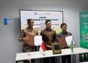 OIKN – ACWA Power Berkolaborasi Bangun Pembangkit Listrik Hijau di IKN