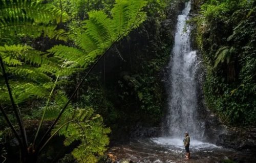 Merawat Air, Merawat Kehidupan 1 B50A300E 2BA6 4676 9762 A1B96FAEAF05 e1714289849510