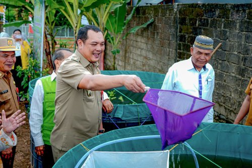 Program Urban Farming Berjaya Lahirkan Kampung Banturanku 1 Hal 10 3 Klm BJb 1 5