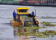 Sampah dan Eceng Gondok di Sungai Belum Diberdayakan