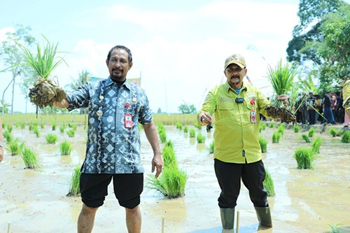 Hal 4 Lapsus HSU Utama 4 klm