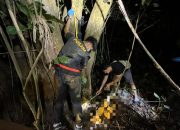 Warga Ujung Murung Tabalong Geger Ditemukan Kerangka Manusia di Hutan