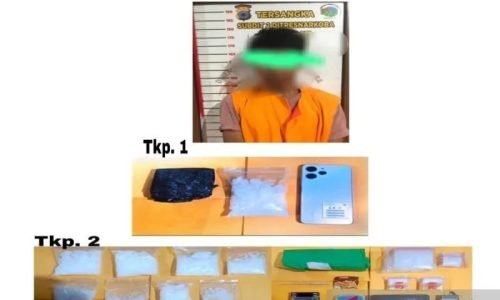 IMG 20240408 WA0044 e1712582237828