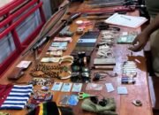 Delapan Anggota OPM Ditangkap Satgas Damai Cartenz di Dekai 8 Delapan Anggota OPM Ditangkap Satgas Damai Cartenz di Dekai