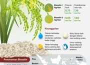 Biosalin Varietas Padi Unggul untuk Kawasan Pesisir 31 Biosalin Varietas Padi Unggul untuk Kawasan Pesisir