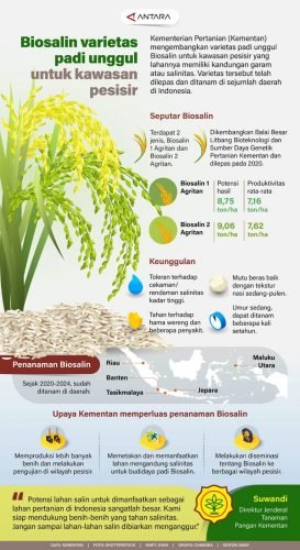 Biosalin Varietas Padi Unggul untuk Kawasan Pesisir 1 IMG 20240417 WA0014 e1713326134824