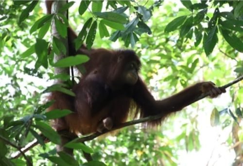 IMG 20240423 WA0027 e1713860989471