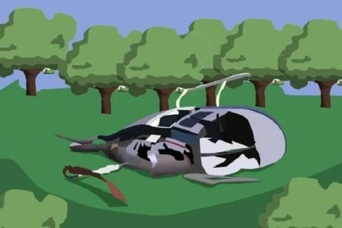 IMG 20240423 WA0028 e1713861153725