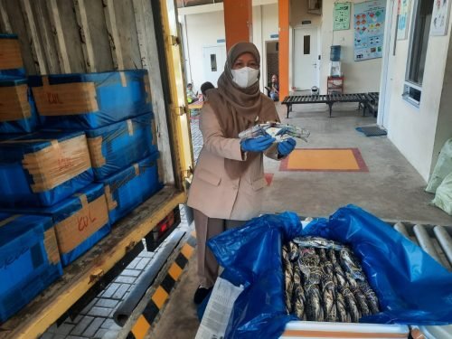 Kalsel Ekspor 2,2 Ton Rajungan ke Negeri Jiran 1 IMG 20240424 WA0034 e1713957248740