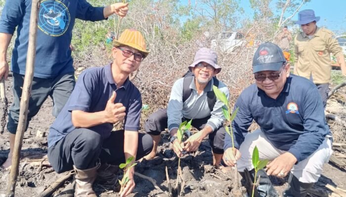Muhammadiyah Kalsel Tanam Mangrove Turut Selamatkan Pesisir
